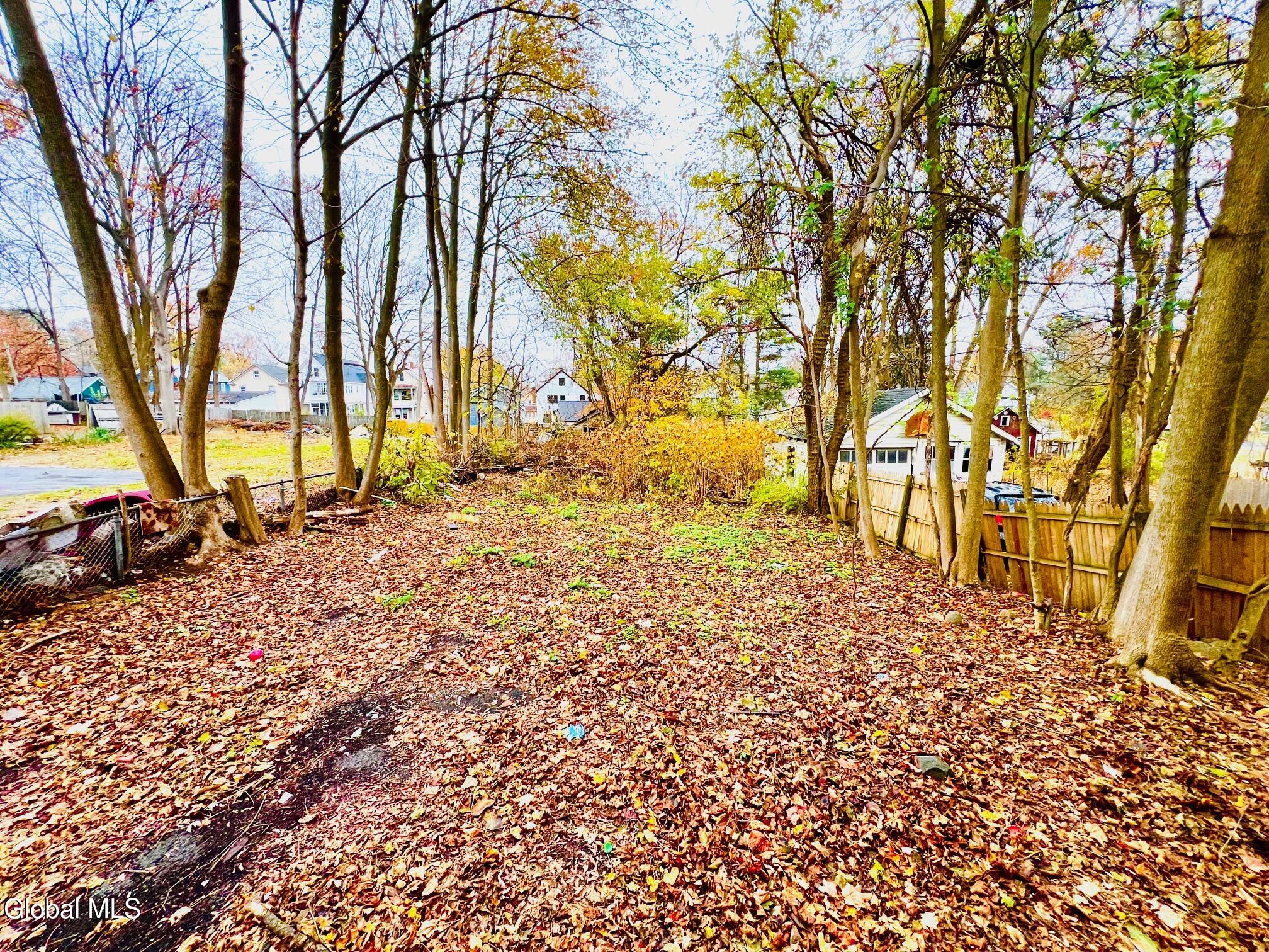 814 Bedford Road Schenectady, NY 12308 - Photo 23 of 23 IMG_yard2