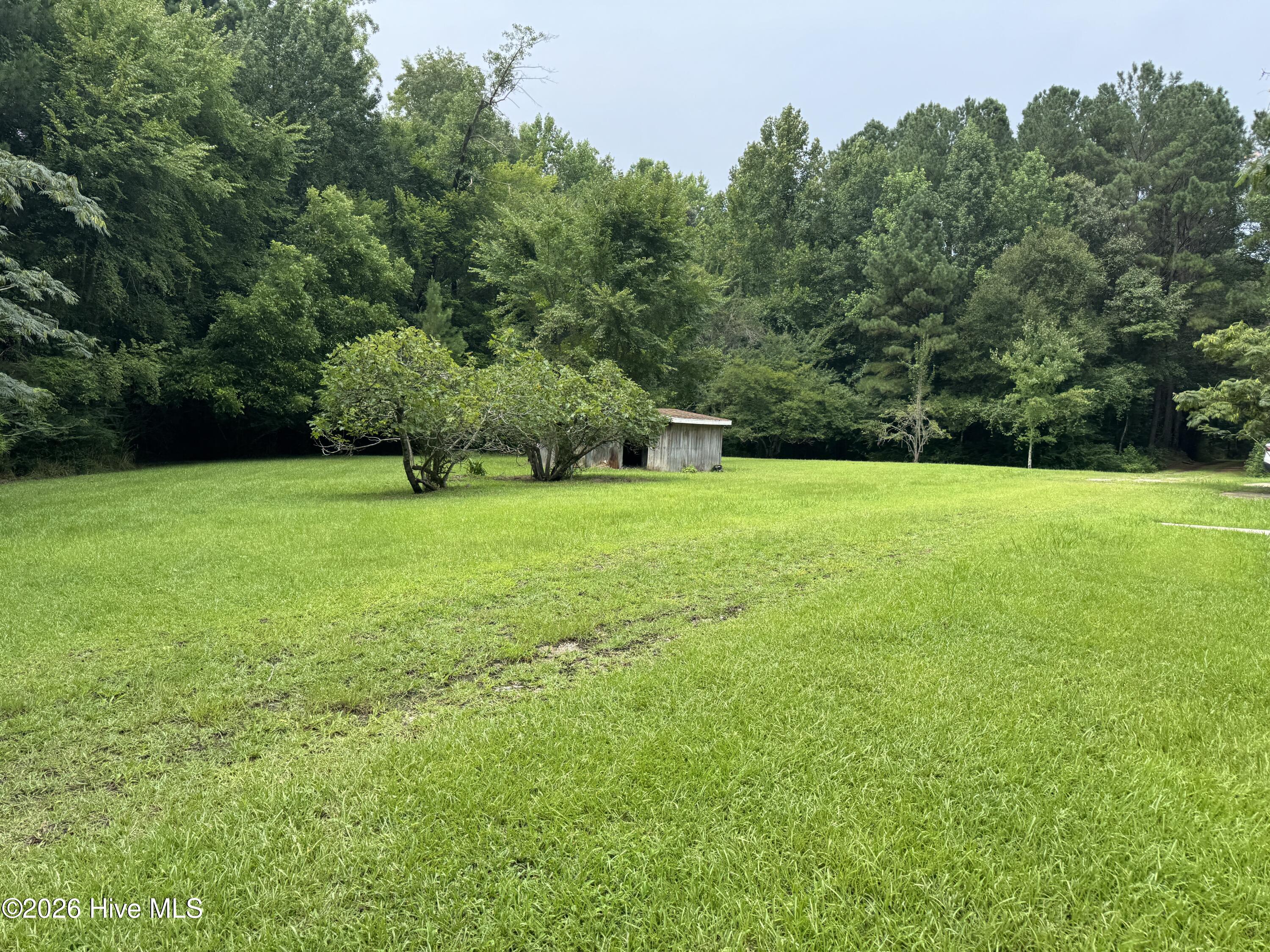 748 Alligator Creek Road Merritt, NC 28556 - Photo 3 of 5 Gallery Image 3