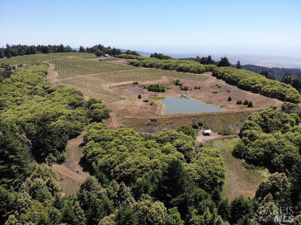 39000 Crispin Road Manchester, CA 95459 - Photo 3 of 40