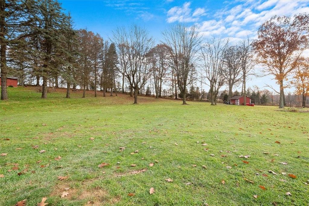 318 Holyoke Road Butler, PA 16001 - Photo 21 of 25 a view of a field with trees