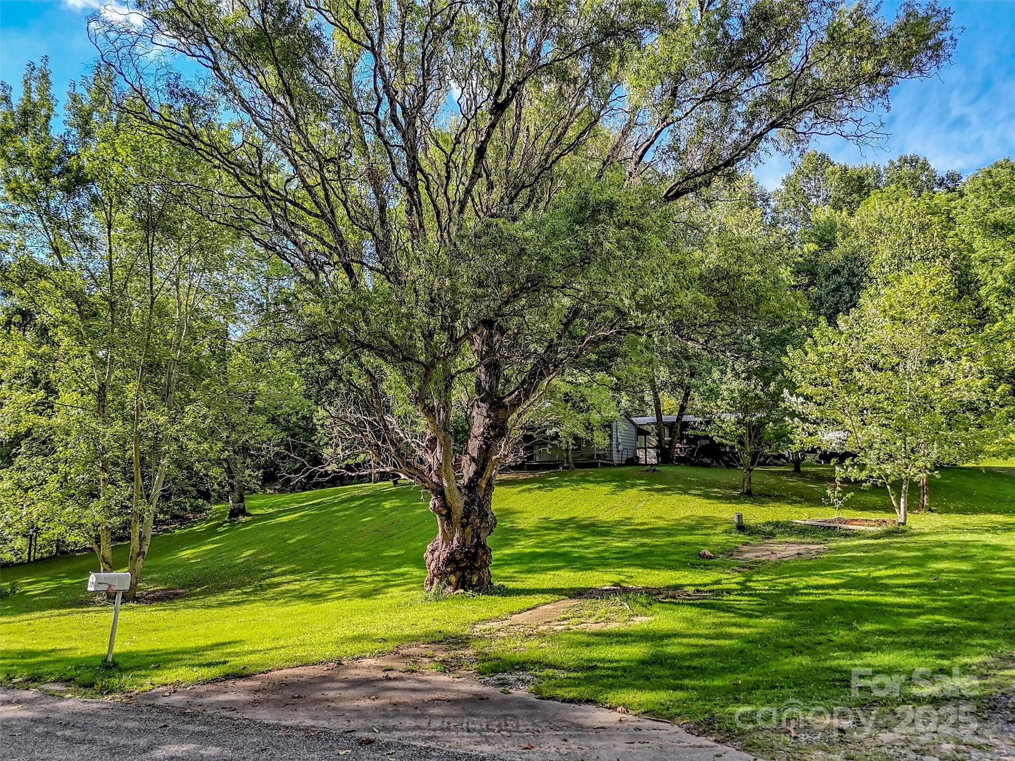 323 Jody Cove Road Canton, NC 28716 - Photo 1 of 28