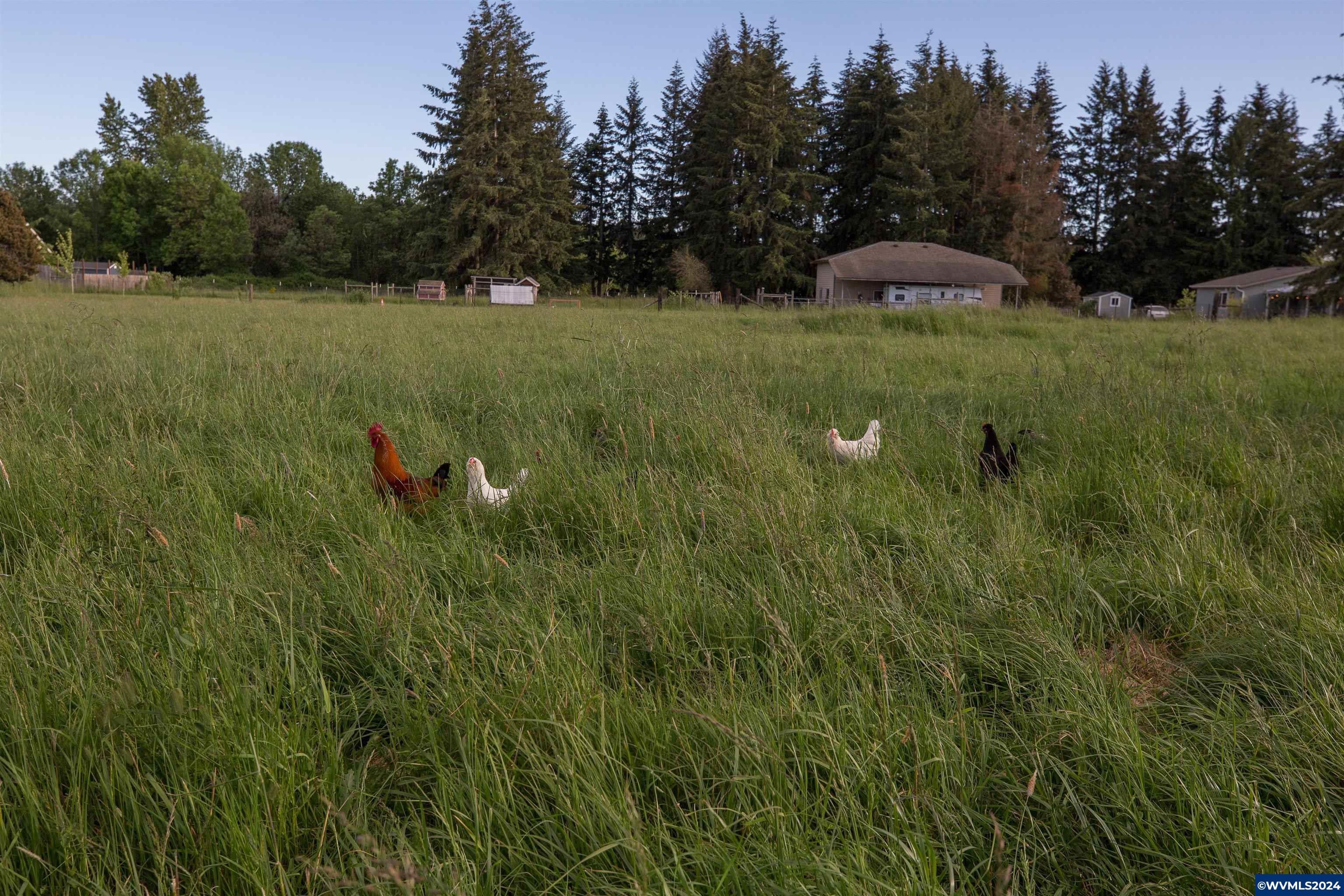 2835 Stoltz Hill Road Lebanon, OR 97355 - Photo 39 of 42 Gallery Image 39