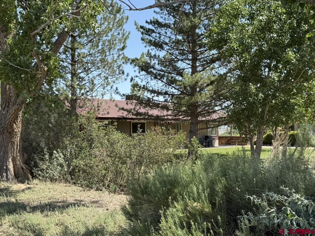 7536 5550th Road Olathe, CO 81425 - Photo 3 of 37 Gallery Image 3