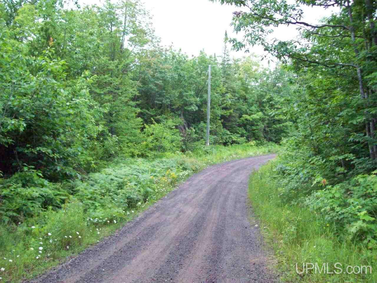 Tbd Tbd Washington Mine Road, Unit LOT 21 Mohawk, MI 49950 - Photo 5 of 9
