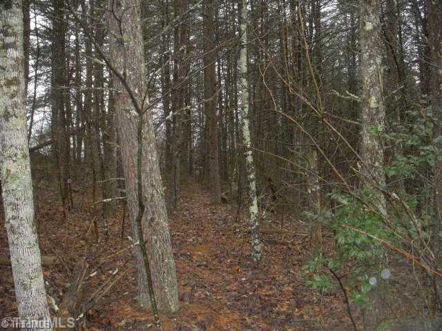 Land. This picture was taken on the property