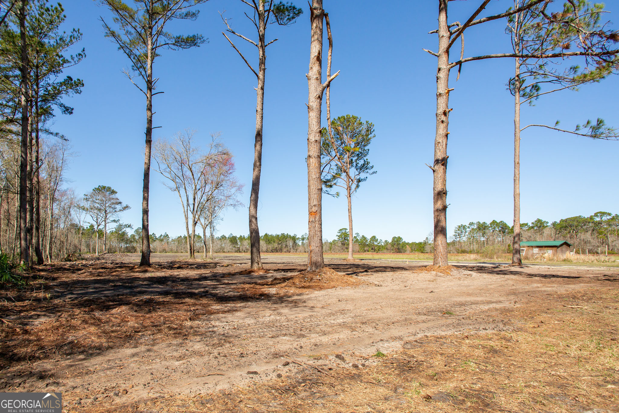 524 Smith Road Waycross, GA 31503 - Photo 9 of 34