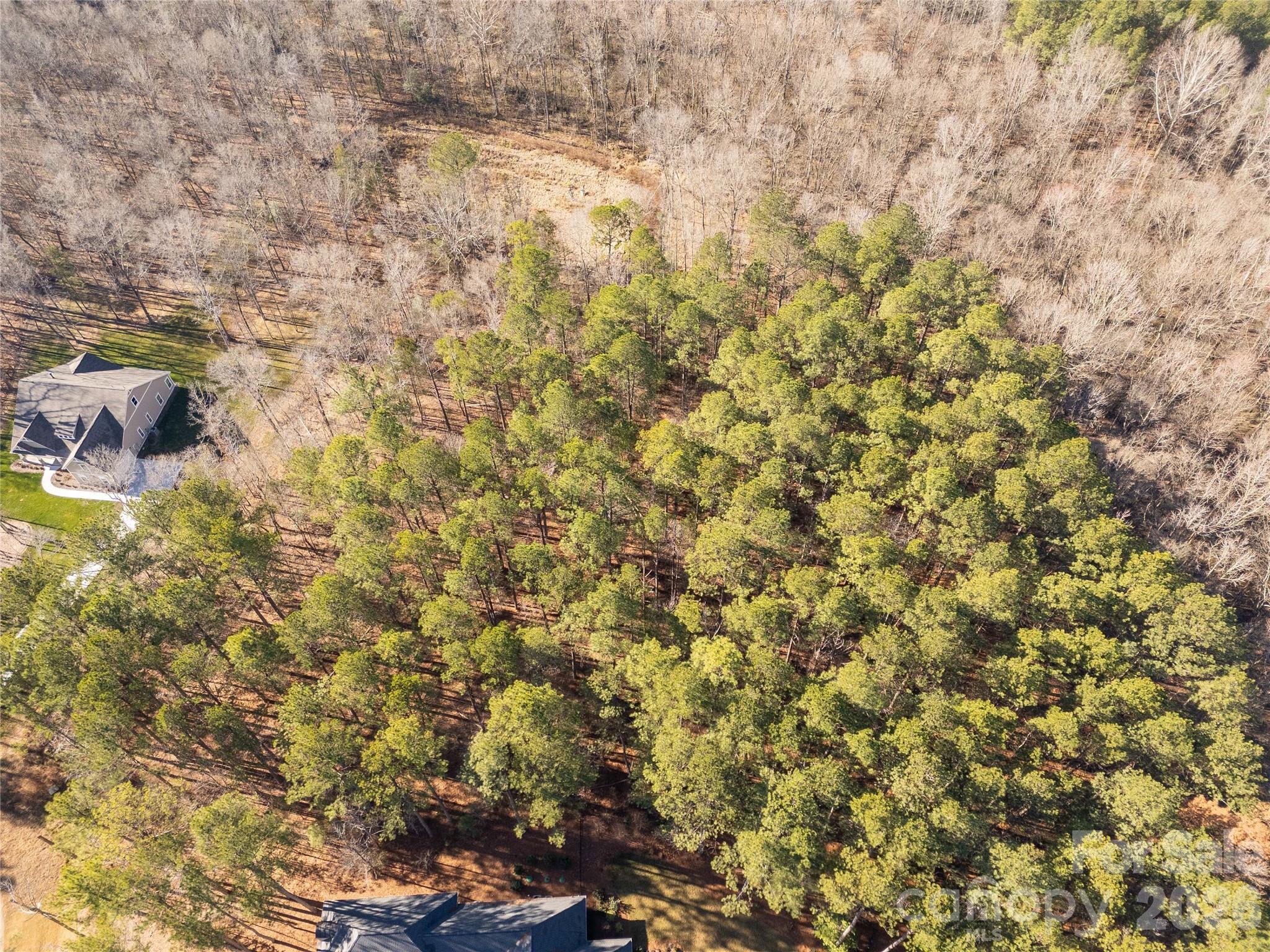 8656 Rainier Court Lancaster, SC 29720 - Photo 20 of 39