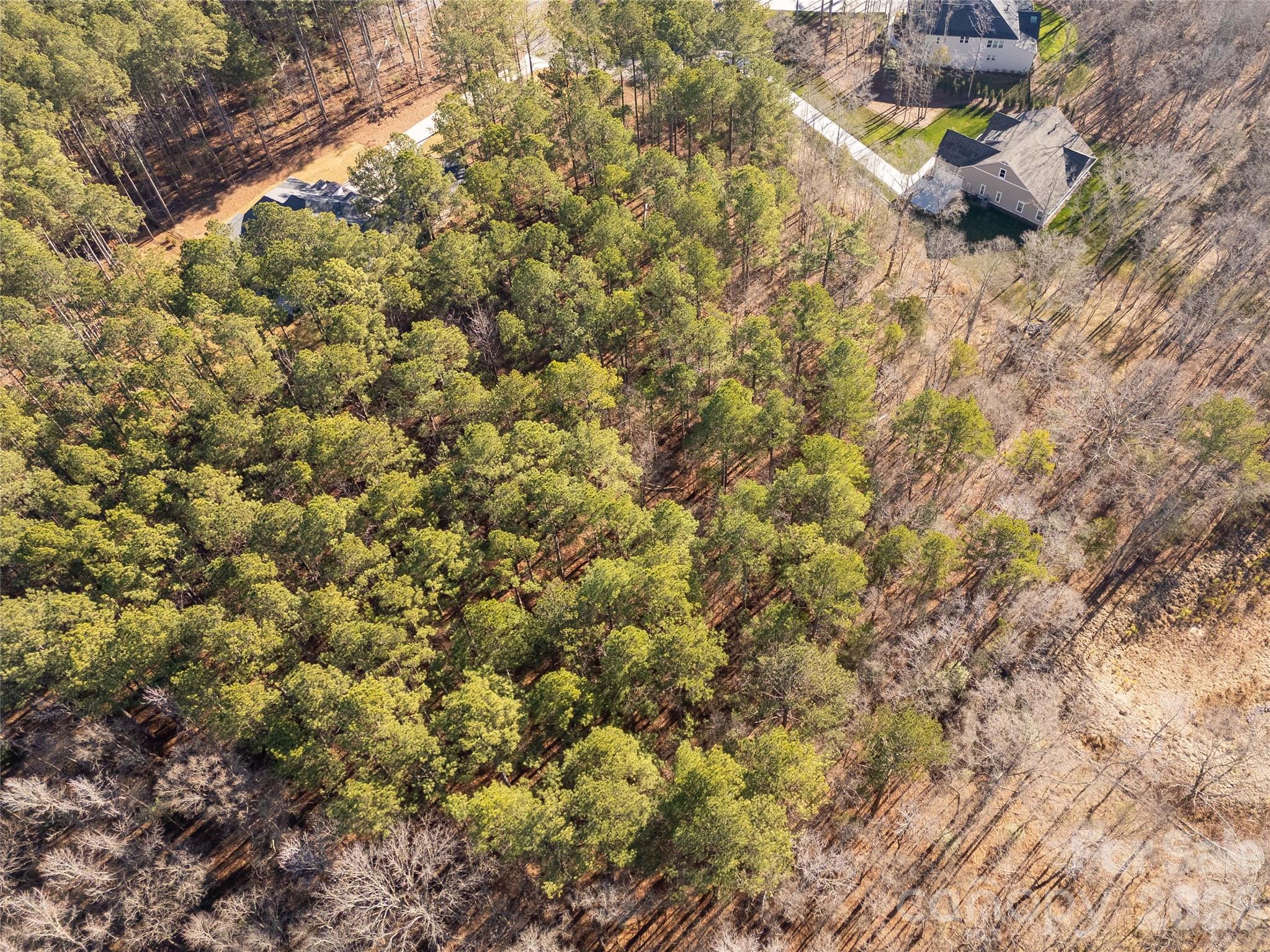 8656 Rainier Court Lancaster, SC 29720 - Photo 22 of 39