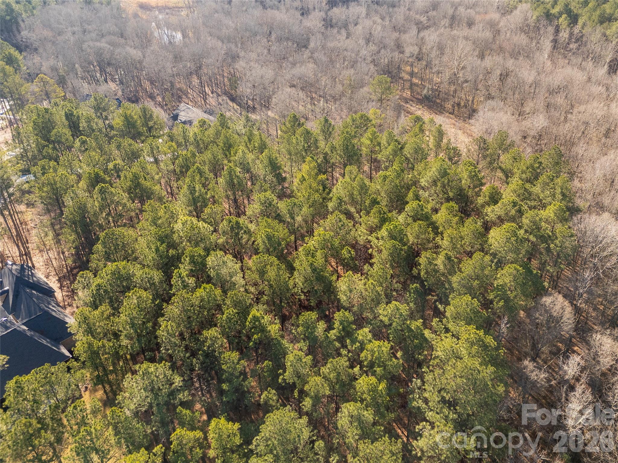 8656 Rainier Court Lancaster, SC 29720 - Photo 23 of 39