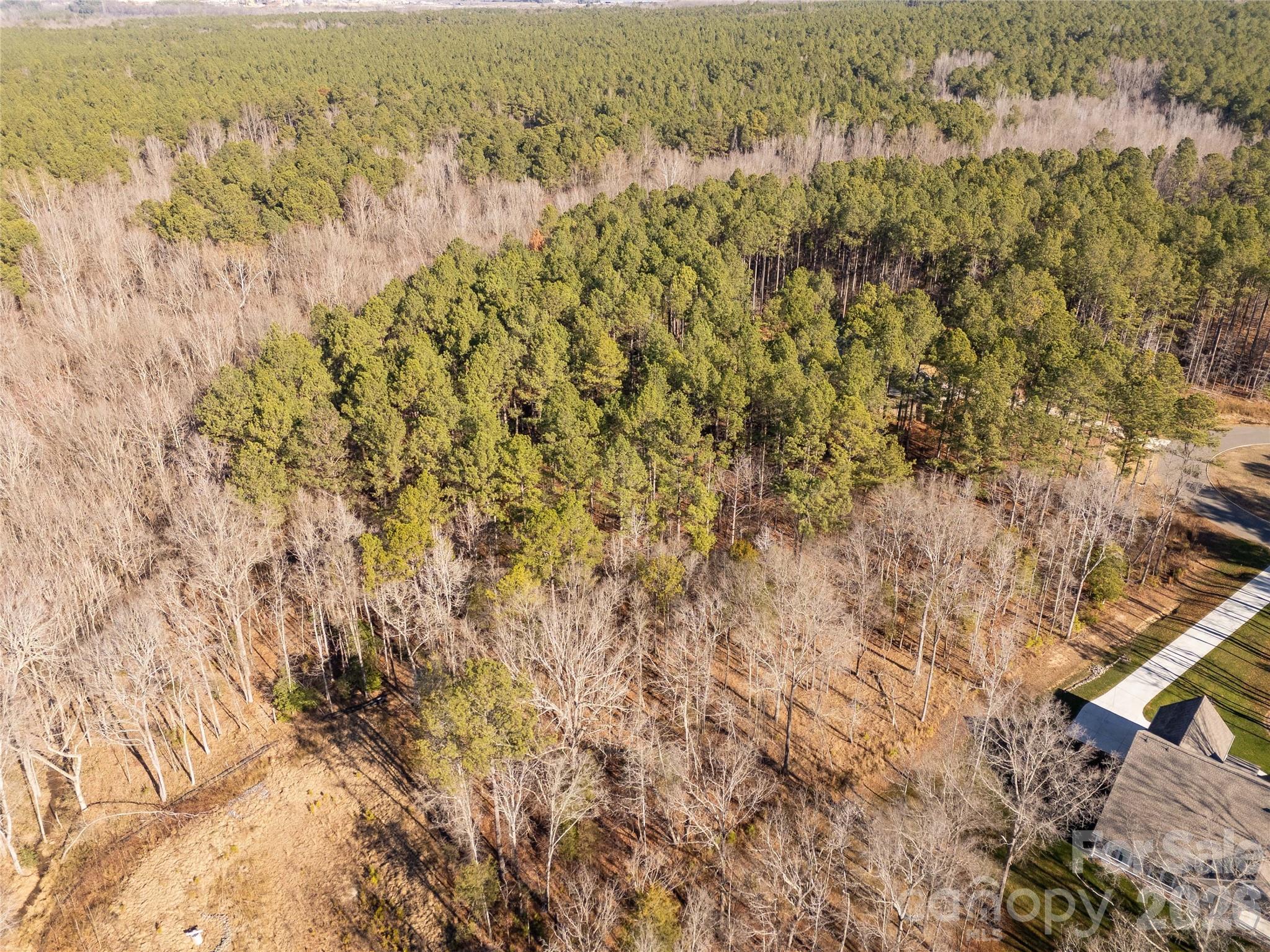 8656 Rainier Court Lancaster, SC 29720 - Photo 28 of 39