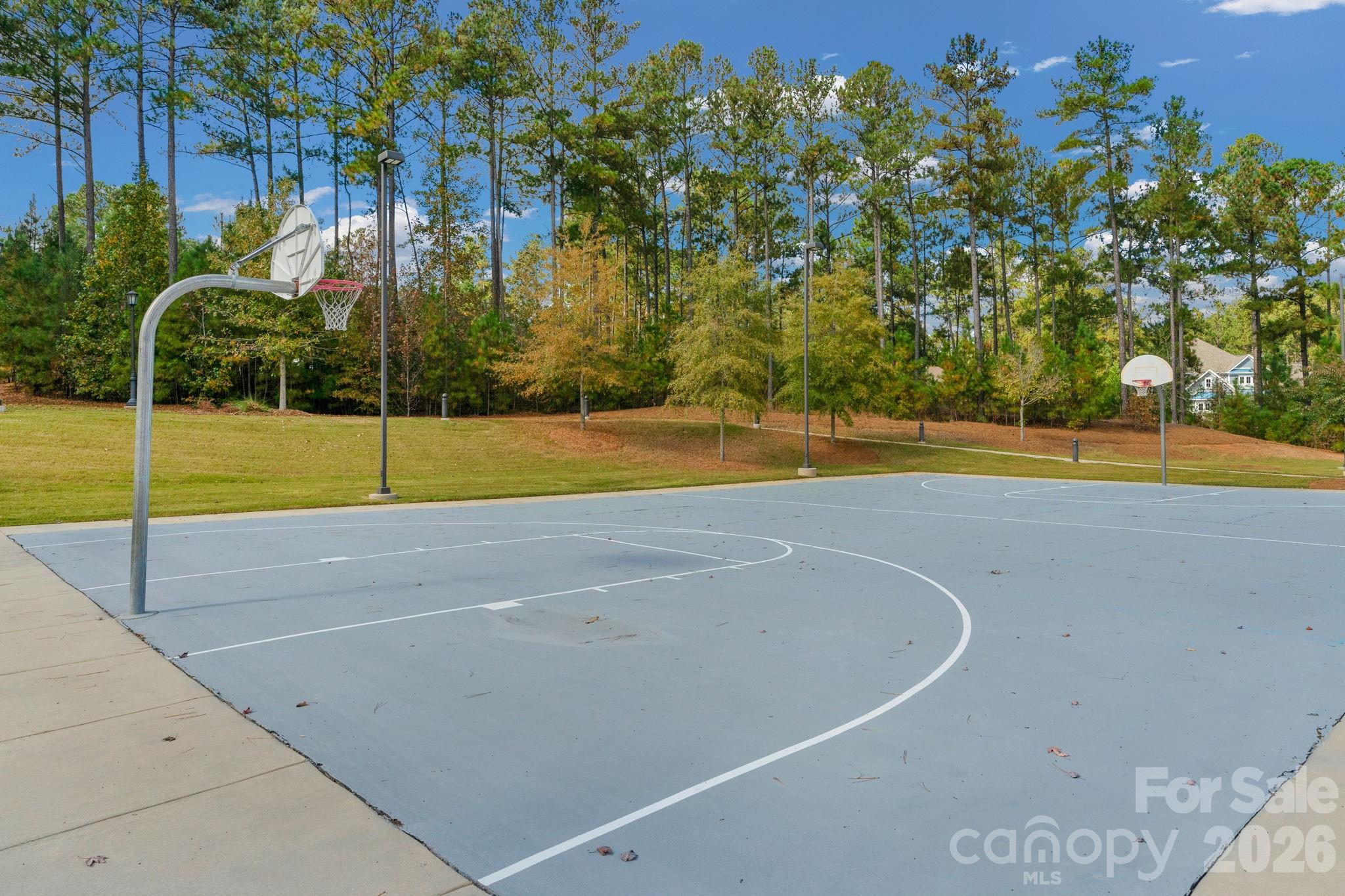 8656 Rainier Court Lancaster, SC 29720 - Photo 36 of 39