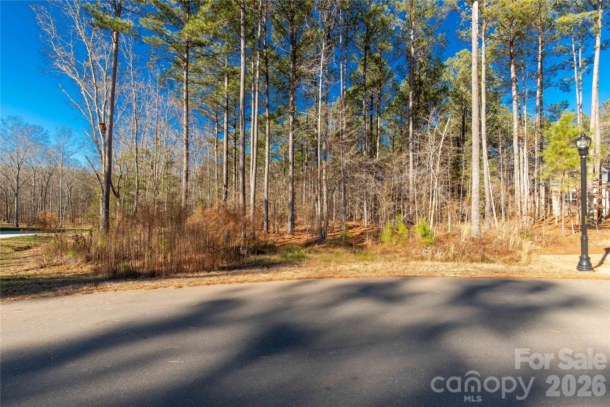 8656 Rainier Court Lancaster, SC 29720 - Photo 7 of 39