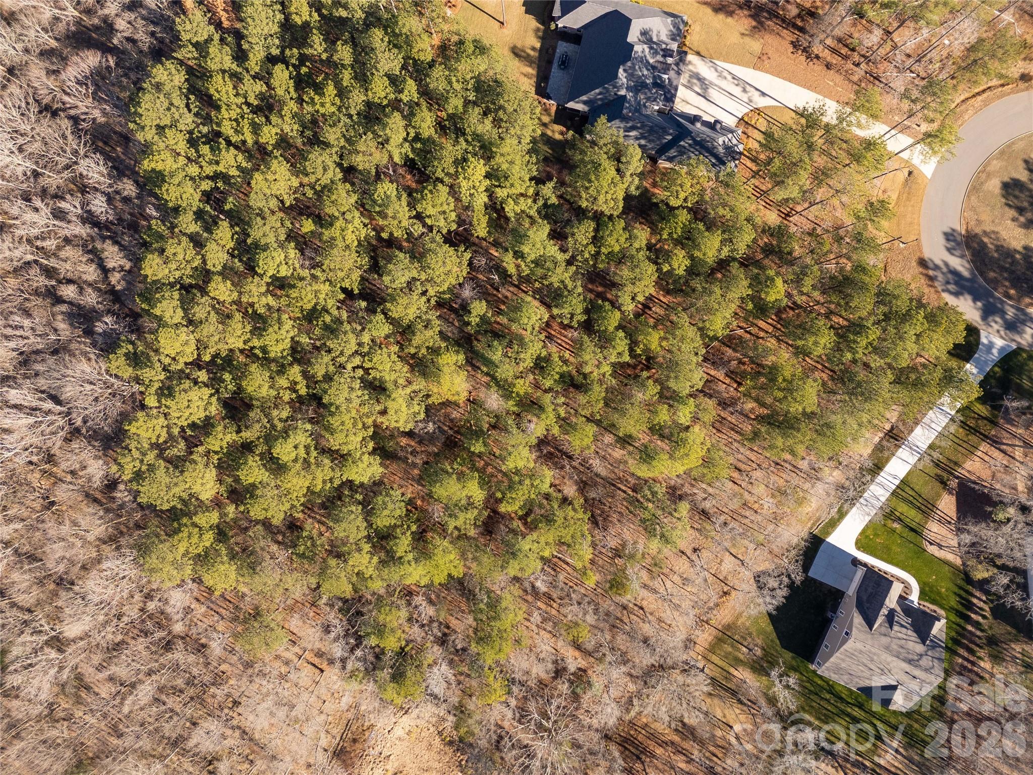 8656 Rainier Court Lancaster, SC 29720 - Photo 8 of 39