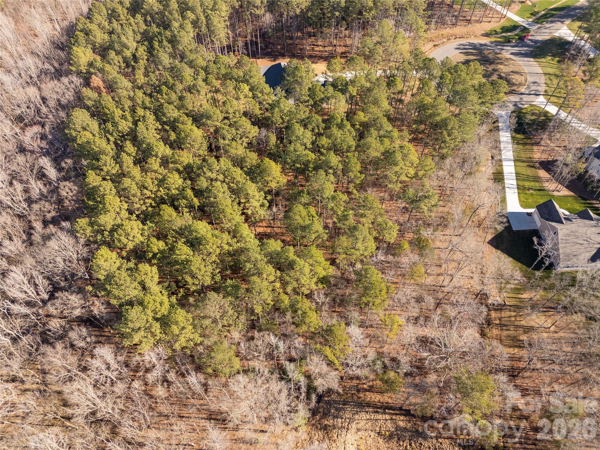 8656 Rainier Court Lancaster, SC 29720 - Photo 9 of 39
