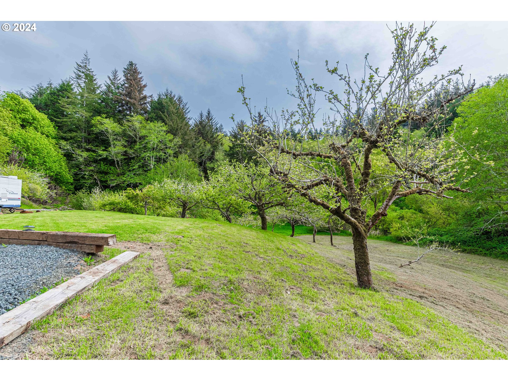 66013 North Bay Road North Bend, OR 97459 - Photo 45 of 48 a view of a yard with an tree