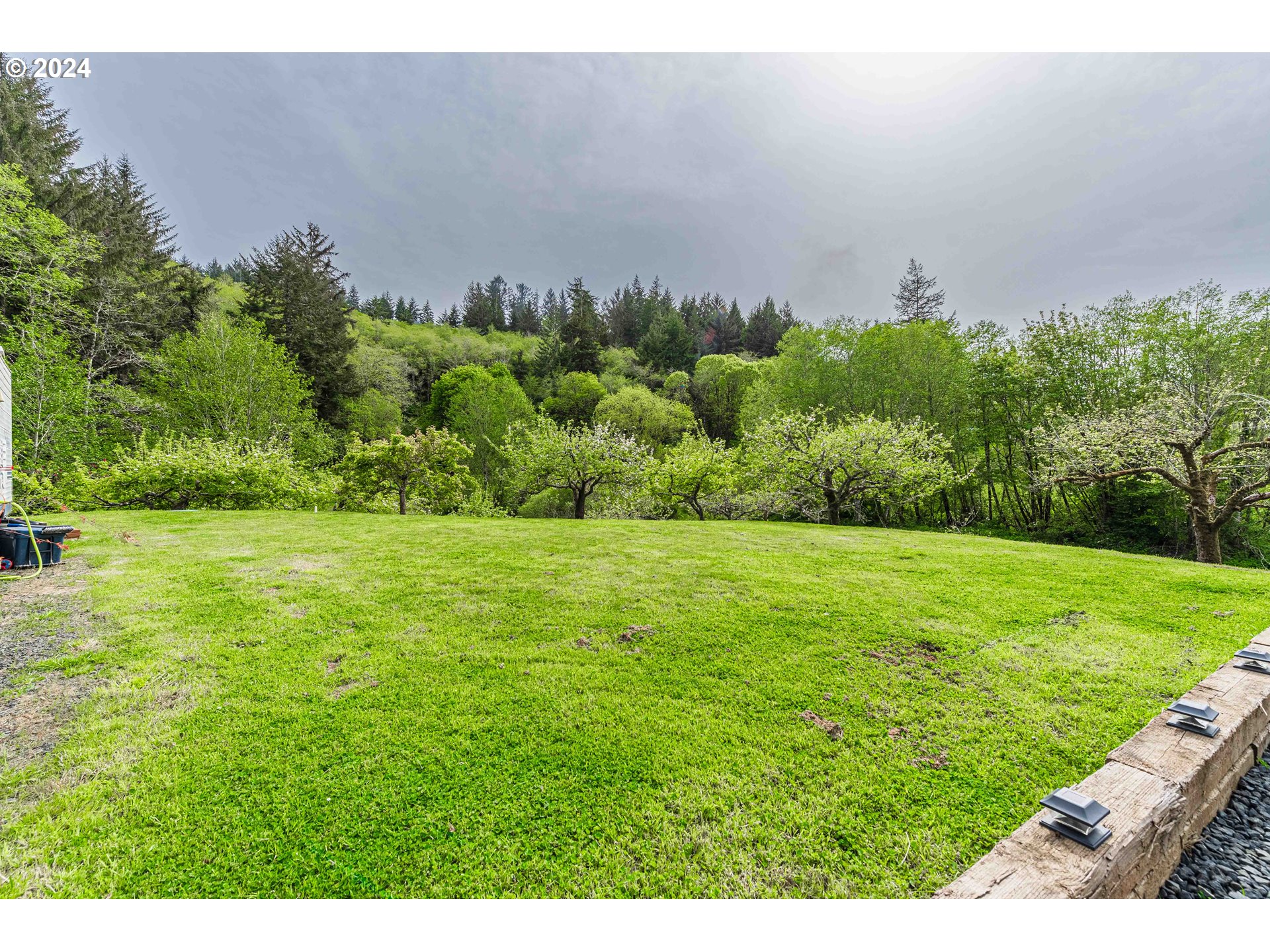 66013 North Bay Road North Bend, OR 97459 - Photo 46 of 48 a view of a green field with lots of bushes