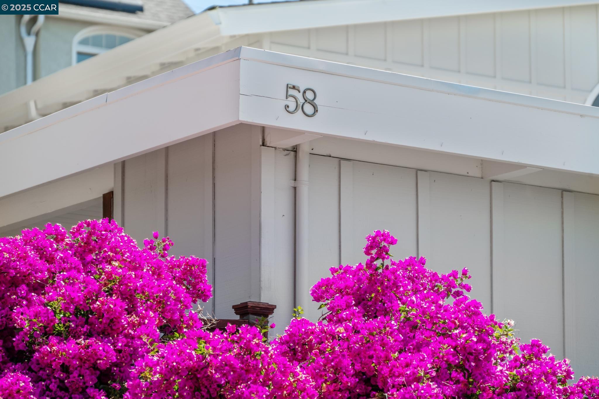 58 Buckeye Avenue Oakland, CA 94618 - Photo 3 of 53