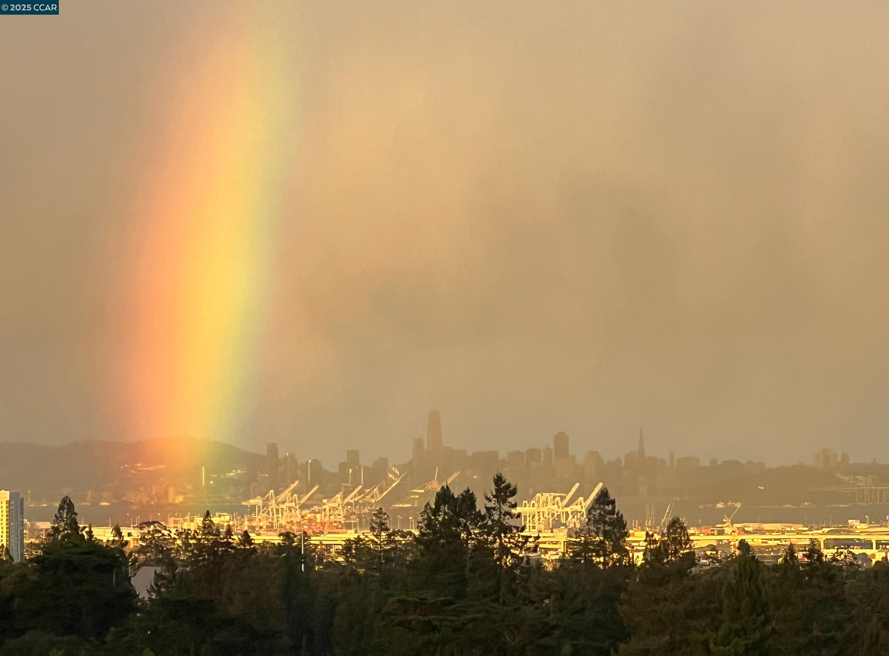 58 Buckeye Avenue Oakland, CA 94618 - Photo 49 of 53