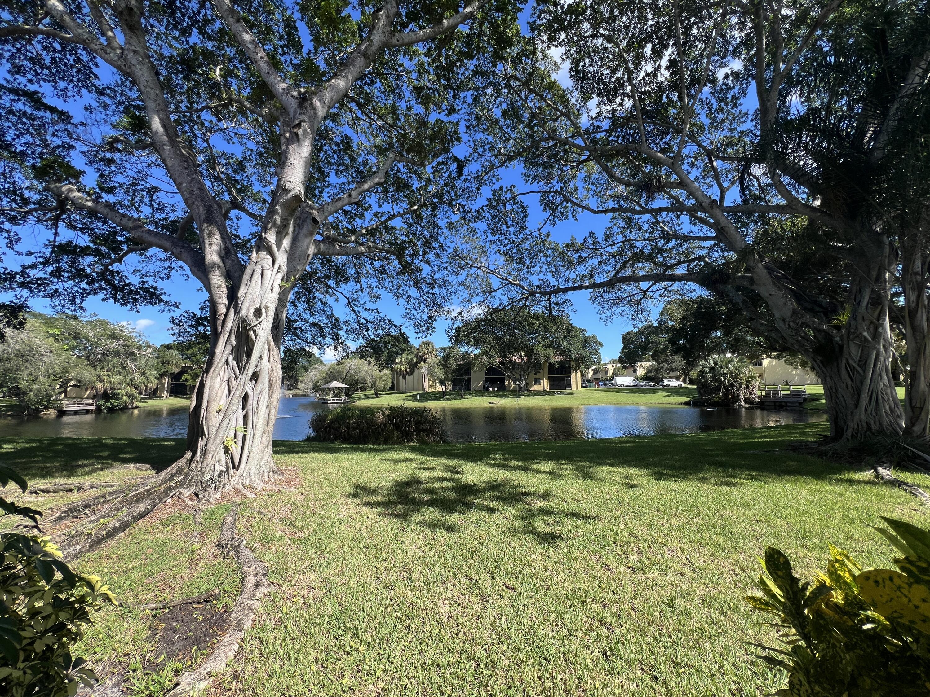 812 Southwest 9th St Circle, Unit 103 Boca Raton, FL 33486 - Photo 11 of 14 a view of swimming pool with a yard