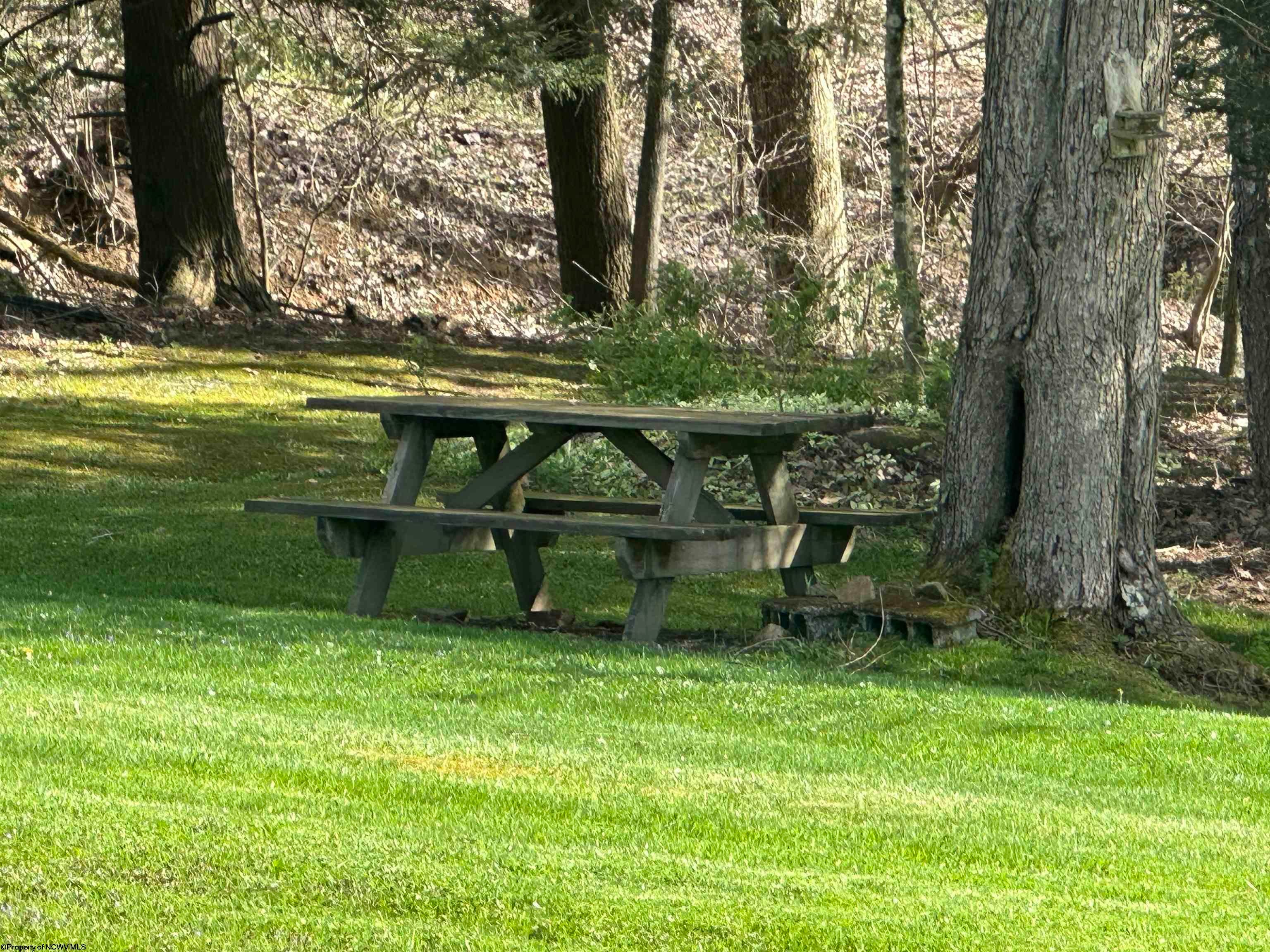 2848 Woolen Mill Road Albright, WV 26519 - Photo 8 of 48 Gallery Image 8