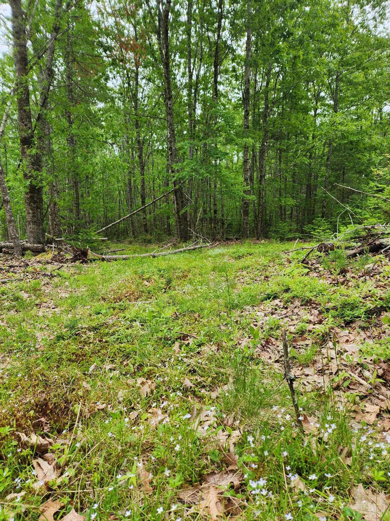 131 River Road Edgecomb, ME 04556 - Photo 15 of 28 20230606_122403