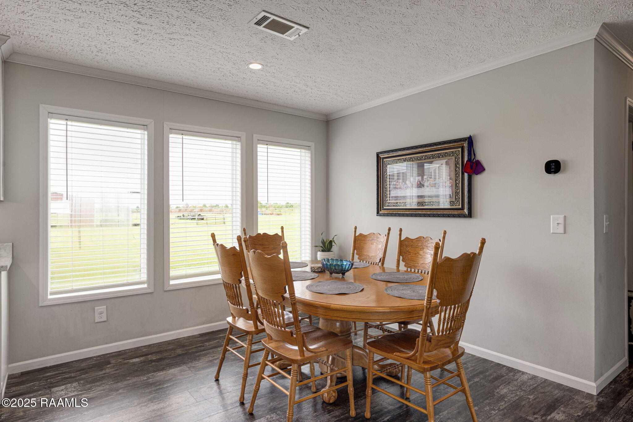280 Choppys Road Church Point, LA 70525 - Photo 6 of 24 6-web-or-mls-280 Choppys Rd-6