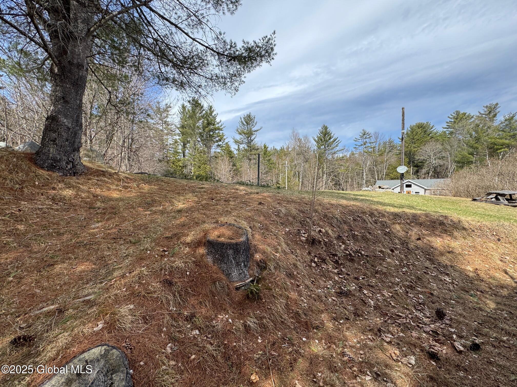 3421 Blue Ridge Road North Hudson, NY 12855 - Photo 33 of 38 IMG_8654