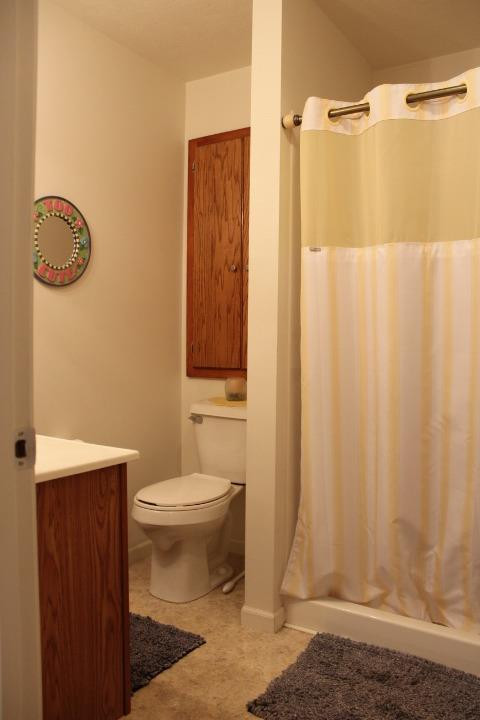 2431 South Toto Road North Judson, IN 46366 - Photo 8 of 25 a bathroom with a toilet and a shower