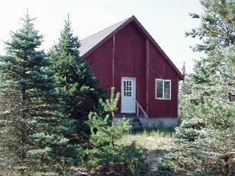 Primary Photo