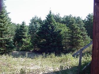 5037 North 5 Road Mesick, MI 49668 - Photo 2 of 2 Additional Photo