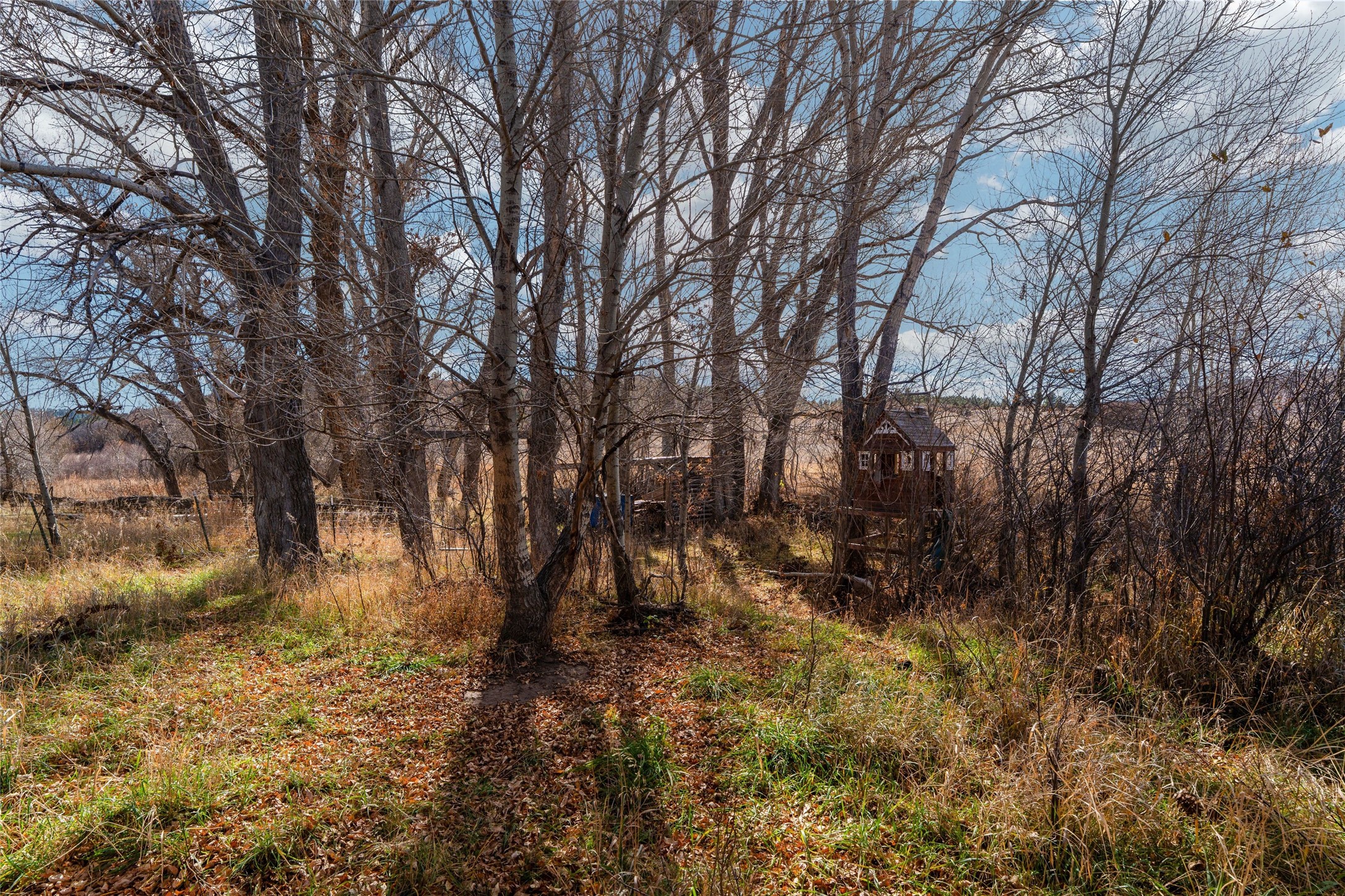 305 County Rd A1 Sapello, NM 87745 - Photo 28 of 34