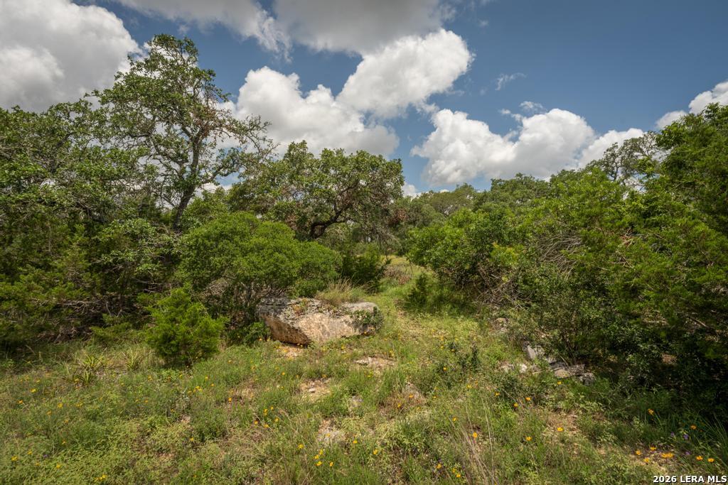 3044 Ridge Crossing Bulverde, TX 78163 - Photo 12 of 12 Gallery Image 12