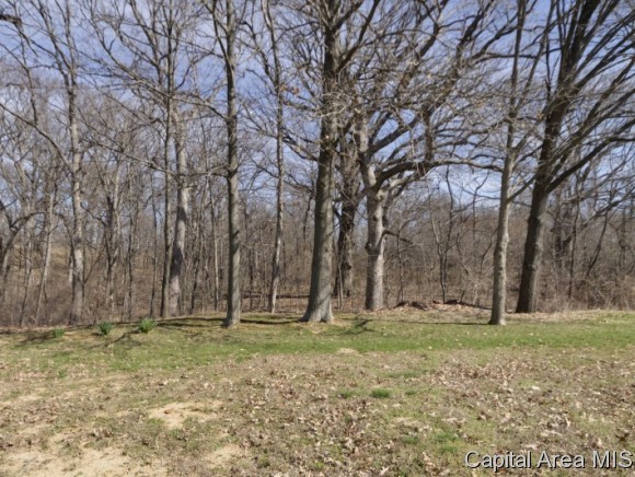 6329 Country Trail Rochester, IL 62563 - Photo 20 of 20