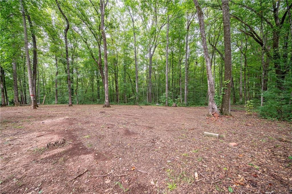 1927 Lee Road Salem, AL 36874 - Photo 10 of 45 View of woods
