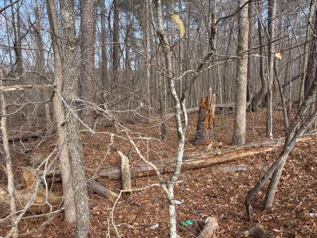 401 Cannon Farm Road Oxford, GA 30054 - Photo 2 of 2