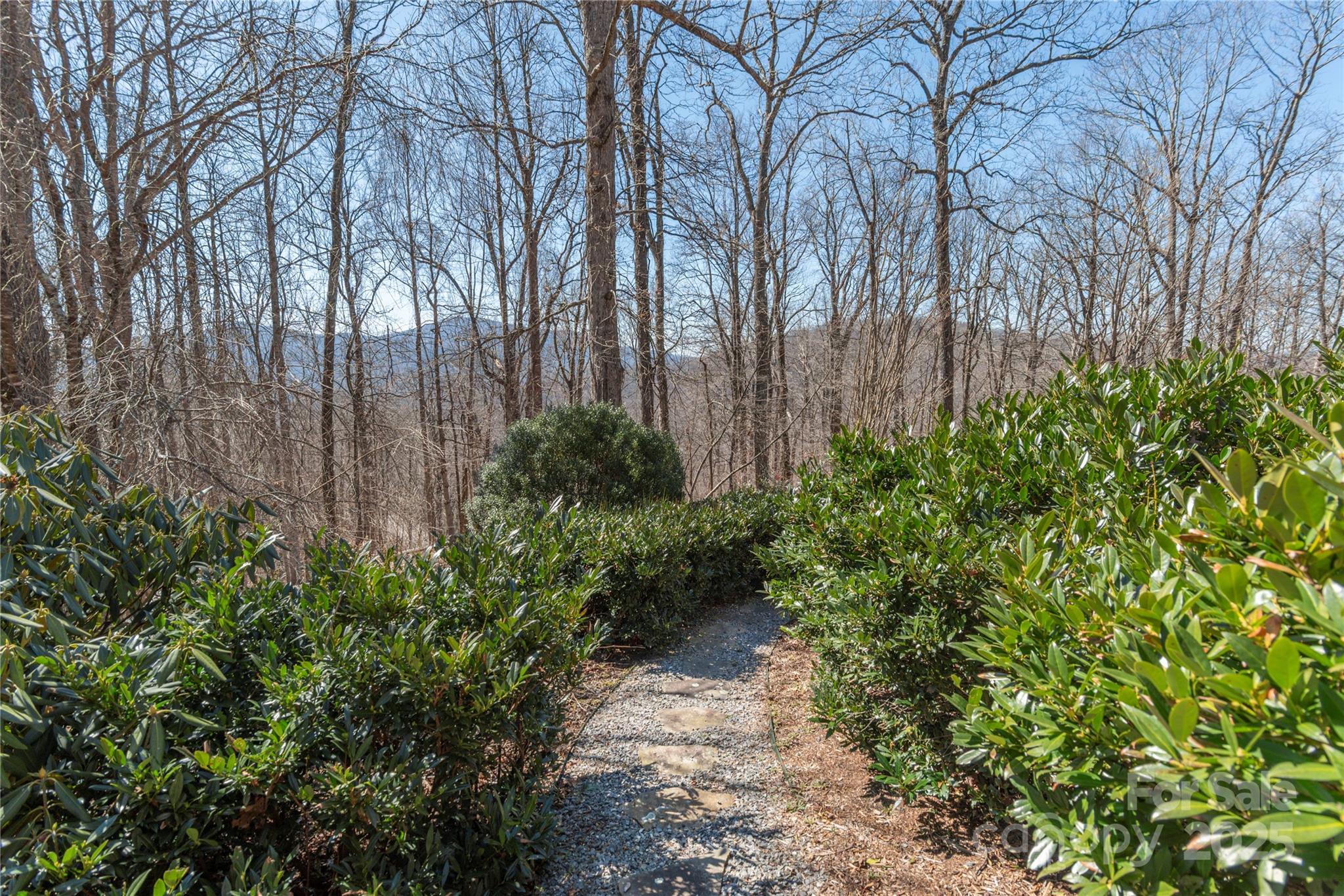 98 Flat Creek Road Fairview, NC 28730 - Photo 37 of 47 a backyard of a house with lots of green space