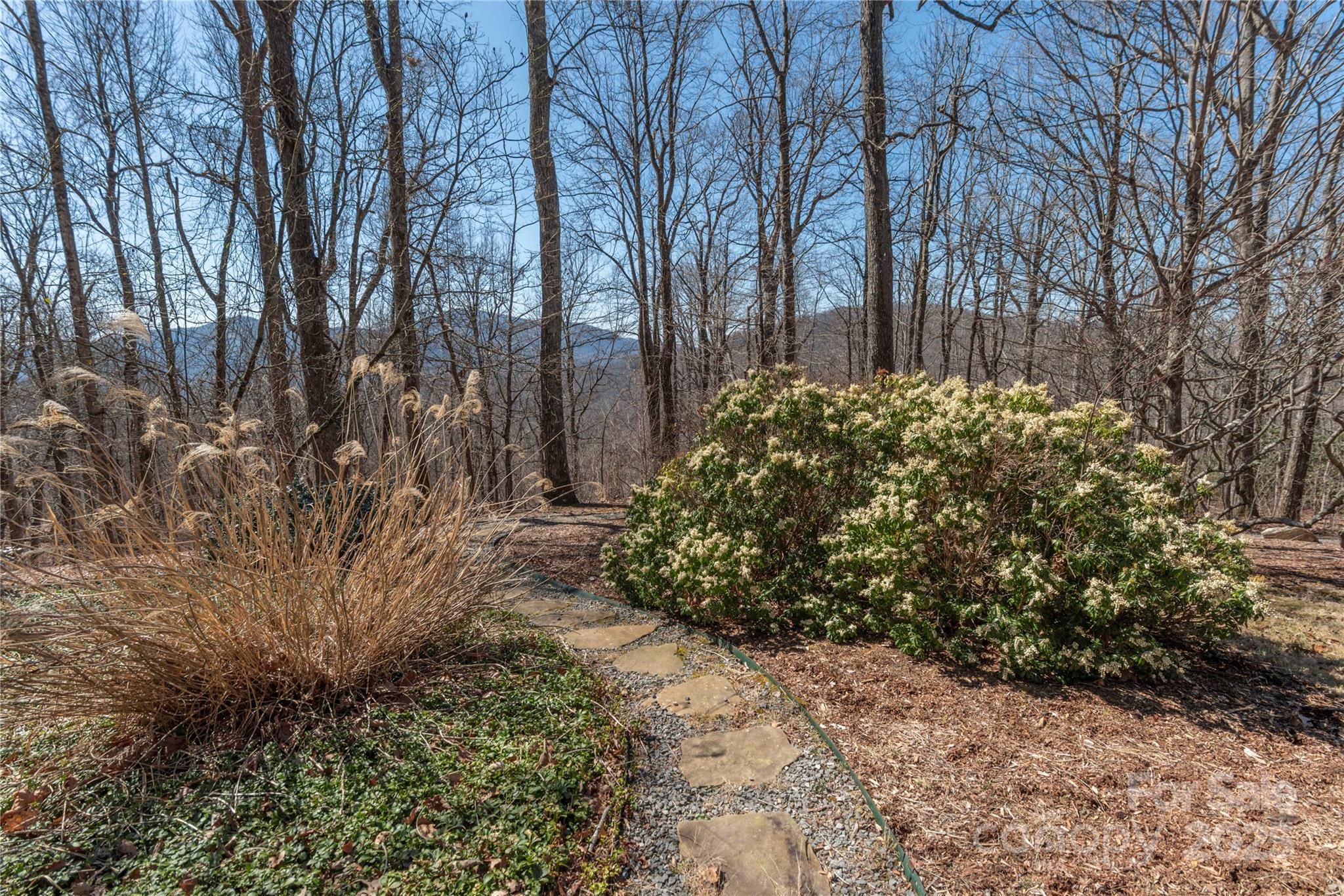 98 Flat Creek Road Fairview, NC 28730 - Photo 38 of 47 a view of a yard with plants and trees