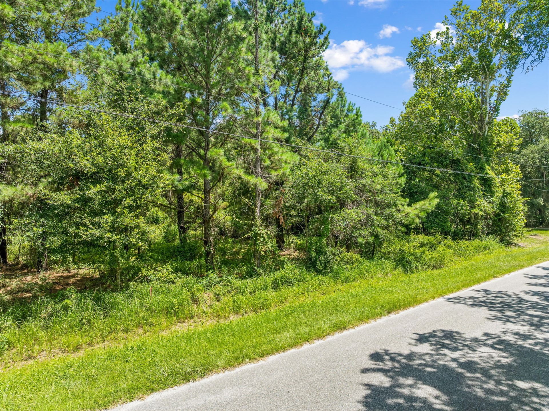 1675 Philips Manor Road Fernandina Beach, FL 32034 - Photo 2 of 11 Enjoy a quiet setting surrounded by established native trees with the perfect canvas for your custom coastal home.