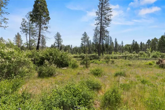 $40,000 | 3874 Coniston Loop, Oroville, CA 95965