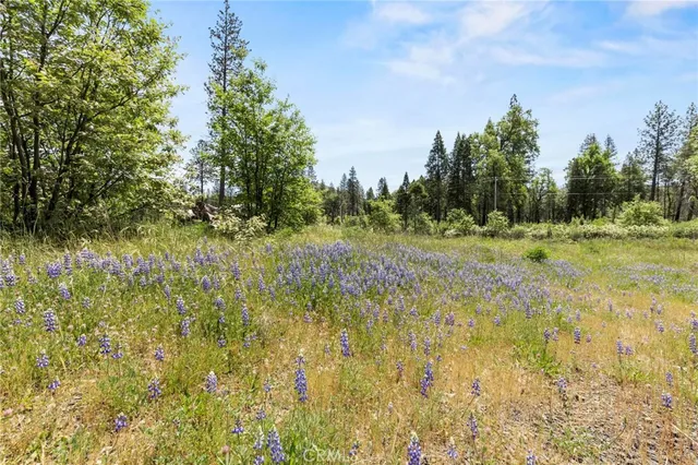 $40,000 | 3874 Coniston Loop, Oroville, CA 95965