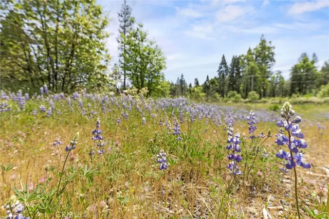 $40,000 | 3874 Coniston Loop, Oroville, CA 95965