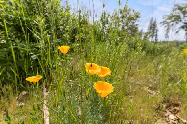 $40,000 | 3874 Coniston Loop, Oroville, CA 95965