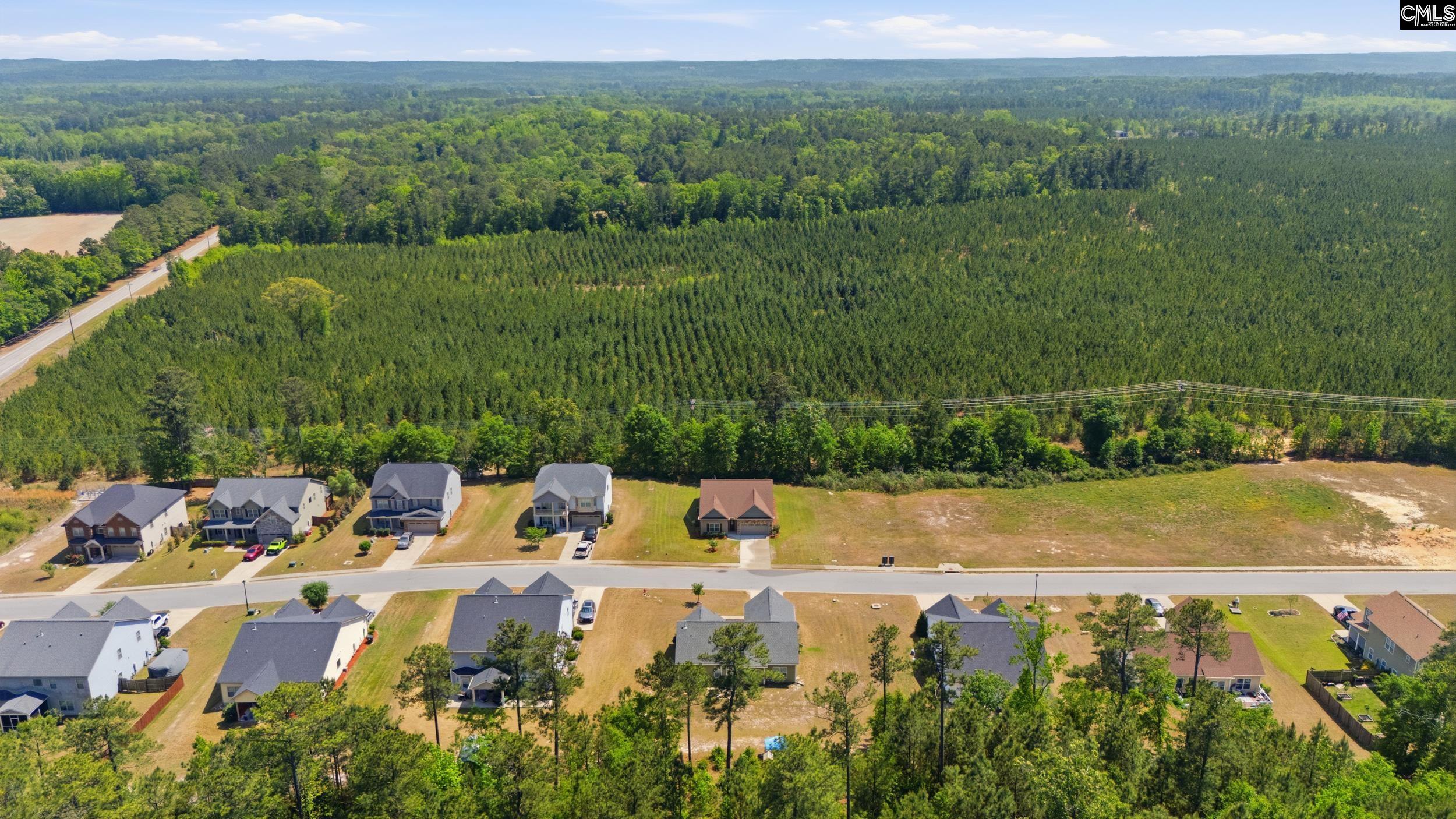 111 Tall Pines Road Gaston, SC 29053 - Photo 29 of 34
