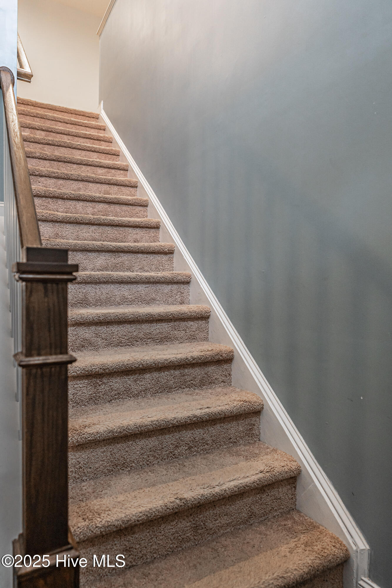 4115 Murdocksville Road West End, NC 27376 - Photo 33 of 87 DSC04184