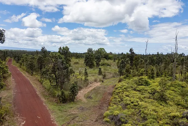 a view of a lake with a building in background