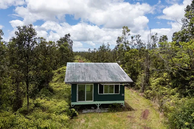 a view of a city with lush green forest