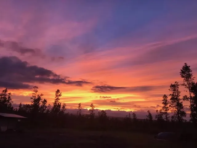a view of a lake in middle of the forest