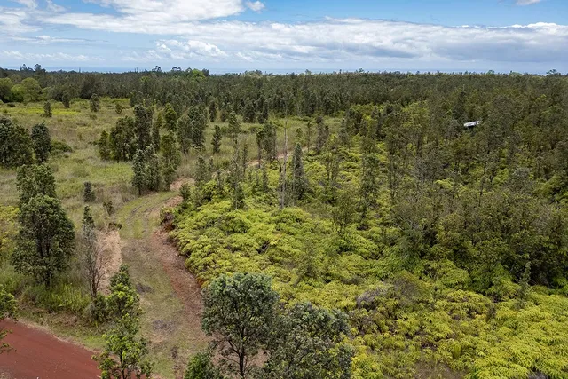 a view of a lake with lots of trees