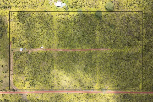 a view of a pathway of a yard