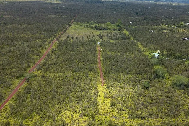 a view of a lake from a yard